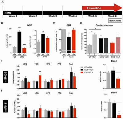 miR-409 and miR-411 Modulation in the Adult Brain of a Rat Model of Depression and After Fluoxetine Treatment